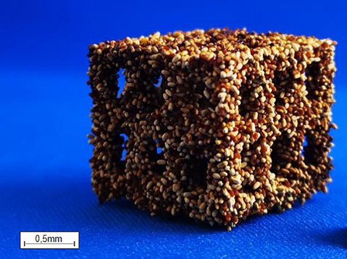 3D gedruckter Testkörper aus Termitenpellets