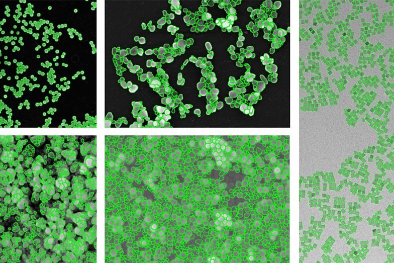 Nanoparticles of gold, titanium dioxide, barium sulphate, silicon dioxide and iron oxide imaged using different techniques.