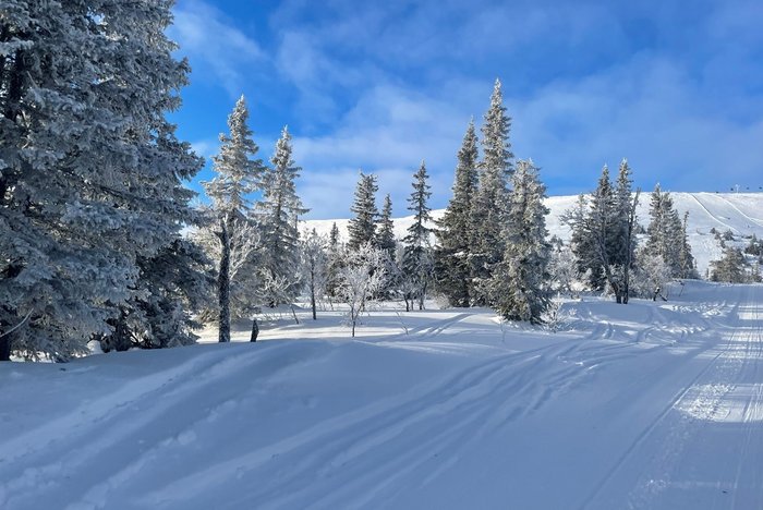 Skispuren im Schnee eines Skigebiets