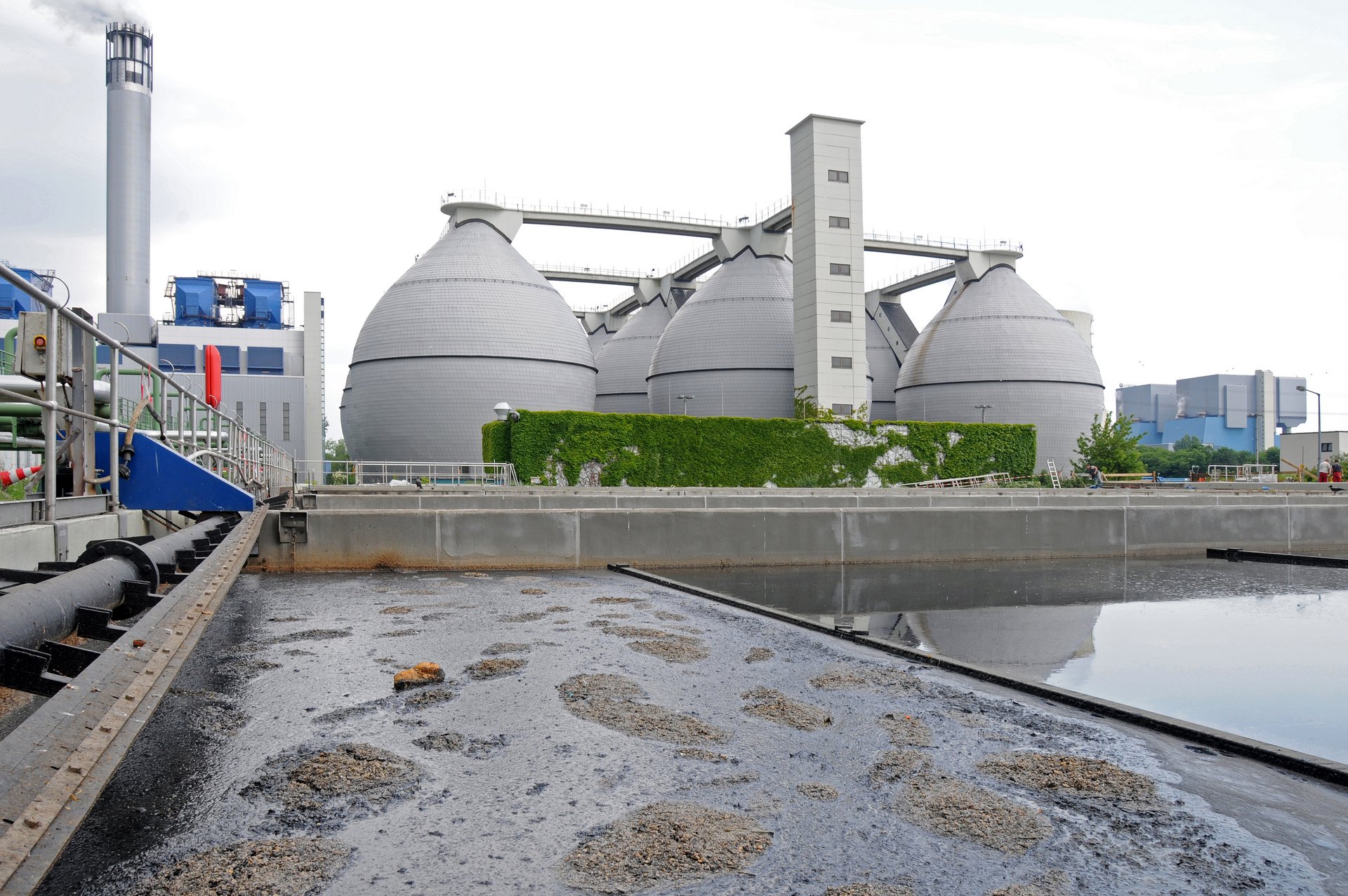 Paper des Monats 07/2024: TF Umwelt Sewage sludge in a wastewater treatment plant in Berlin