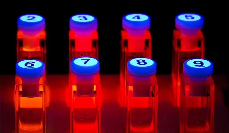 Numbered samples with photoluminescent substances shine red.