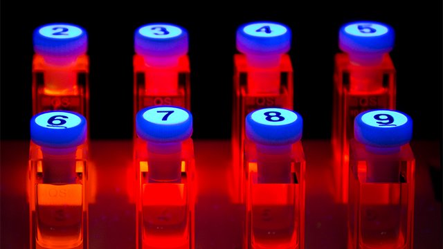 Numbered samples with photoluminescent substances shine red. Tile preview