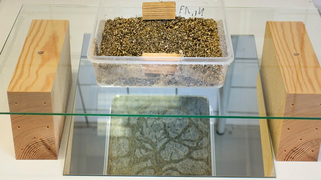 Ein Versuchsaufbau mit zwei Holzproben in einem transparenten Termiten-Zuchtbeh&auml;lter. Der Aufbau steht auf einer Glasplatte und wird von unten gespiegelt, um das Verhalten der Tiere w&auml;hrend des Tests beobachten zu k&ouml;nnen. Kachel Vorschau