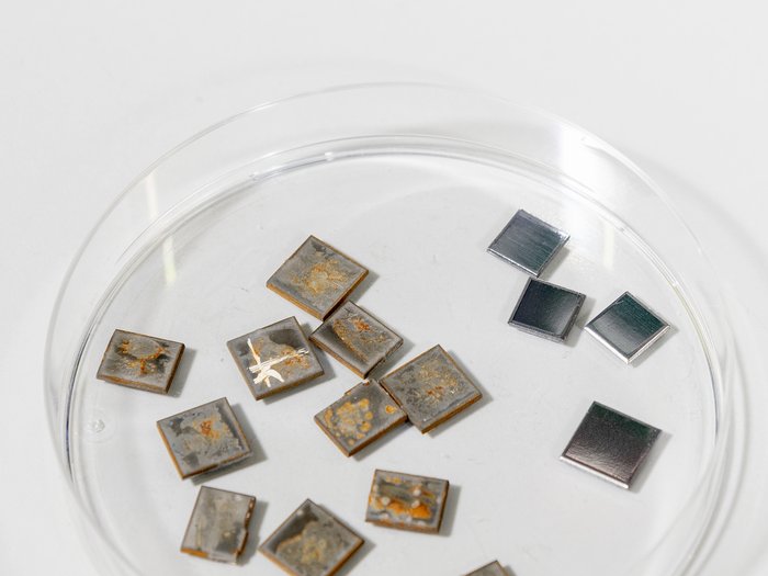 Paper of the Month 05/2023: TF Environment Steel samples before and after microbiologically influenced corrosion in a Petri dish