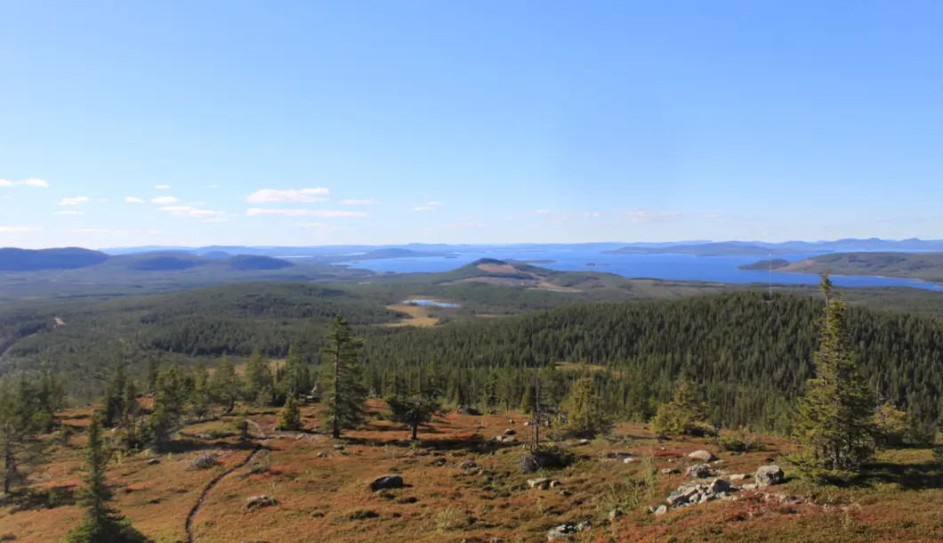 Ausflug auf den Berg Jan-Svensam&ouml;ssan (Jennifer Nickeleit)