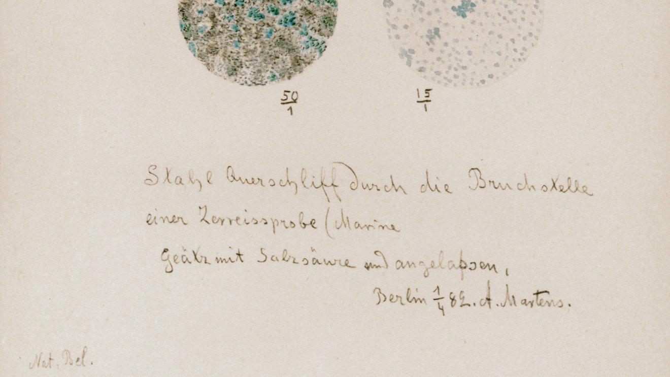 Drawing by Adolf Martens (1850-1914) from 1882: surface of steel, polished cross-section through the breaking point of a tensile specimen, etched with hydrochloric acid and tempered Tile preview