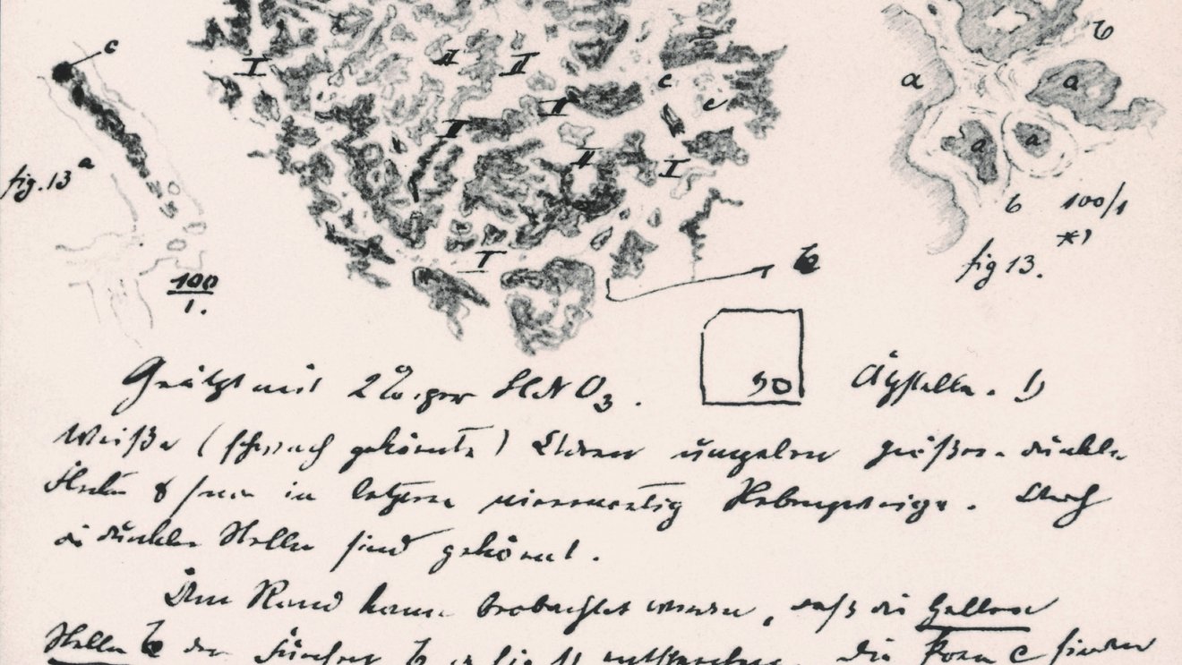 Drawing by Adolf Martens (1850-1914): surface of open-hearth steel 0.4 C., etched with 2-% nitric acid Tile preview
