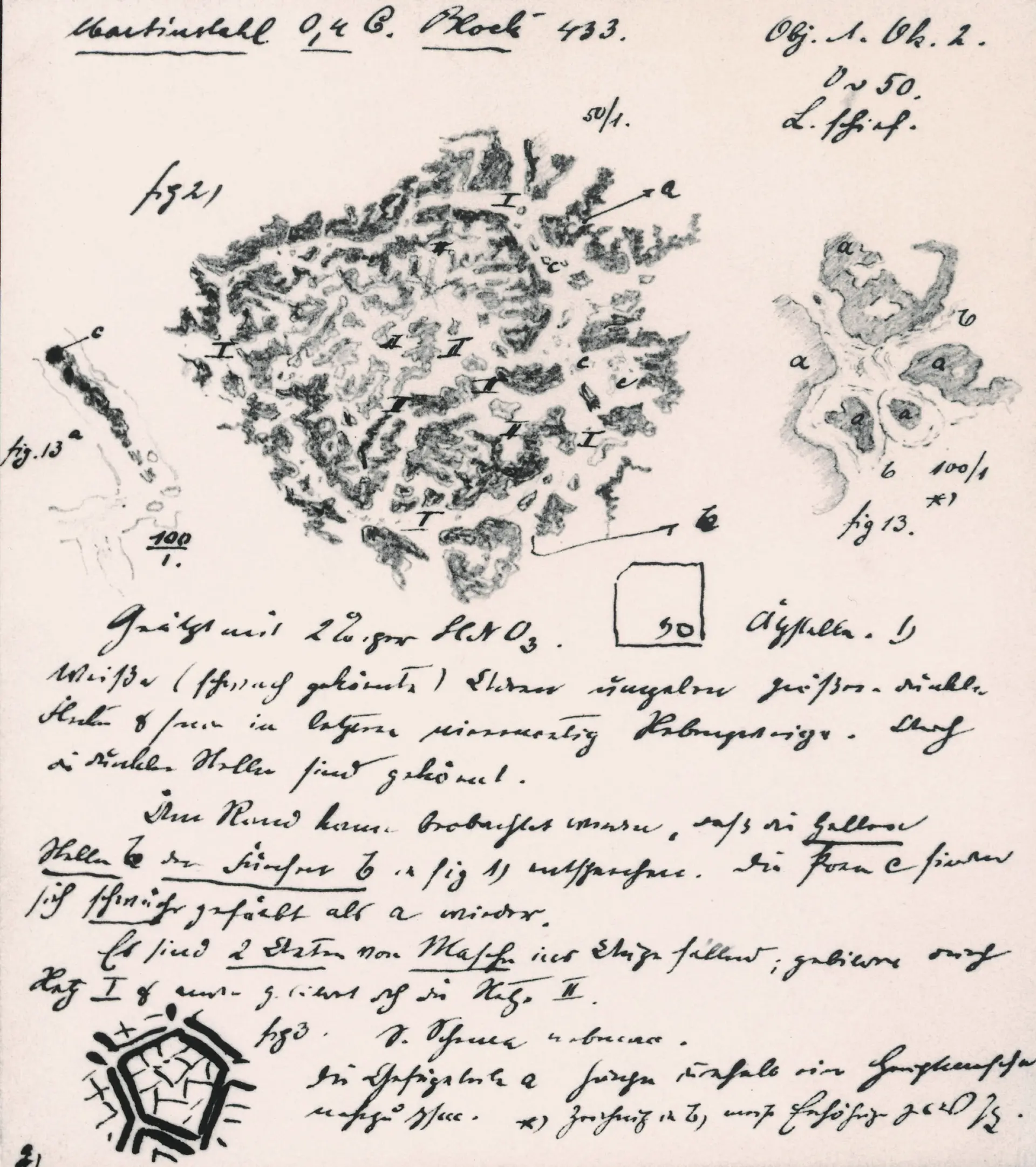 Drawing by Adolf Martens (1850-1914): surface of open-hearth steel 0.4 C., etched with 2-% nitric acid