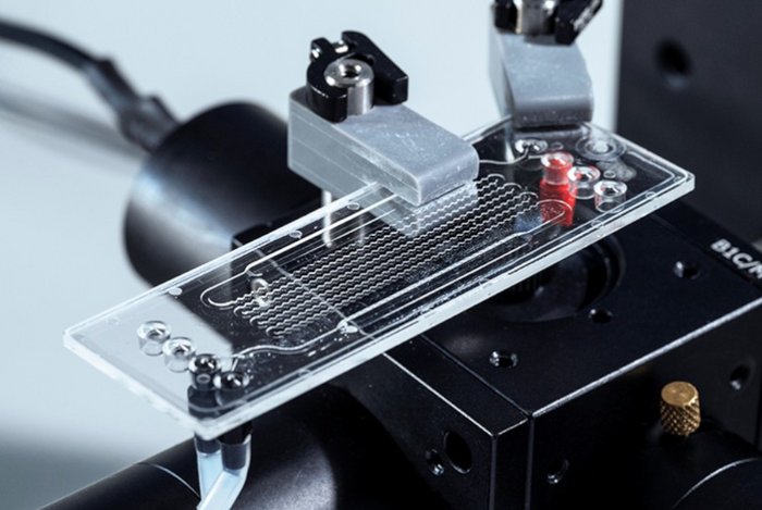 Der mikrofluidische Chip des Sensorsystems in Nahaufnahme.