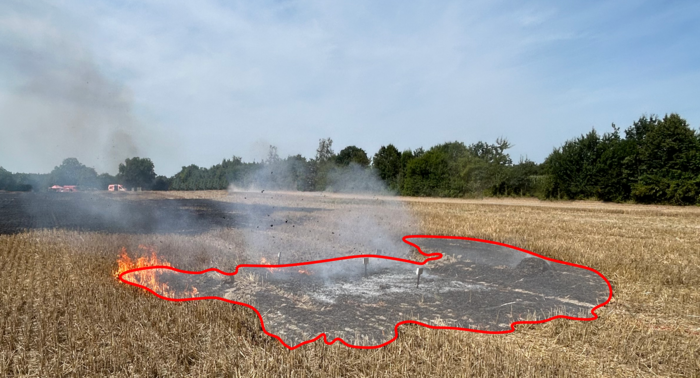 Fire test in Nauen - Leaf test on the stump field