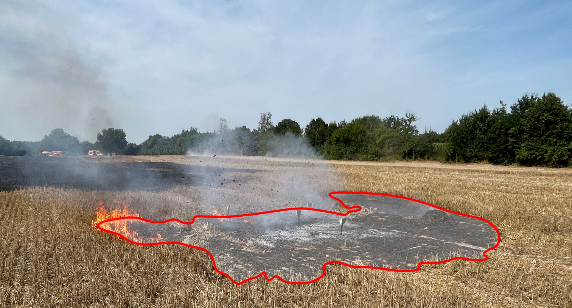 Fire test in Nauen - Leaf test on the stump field