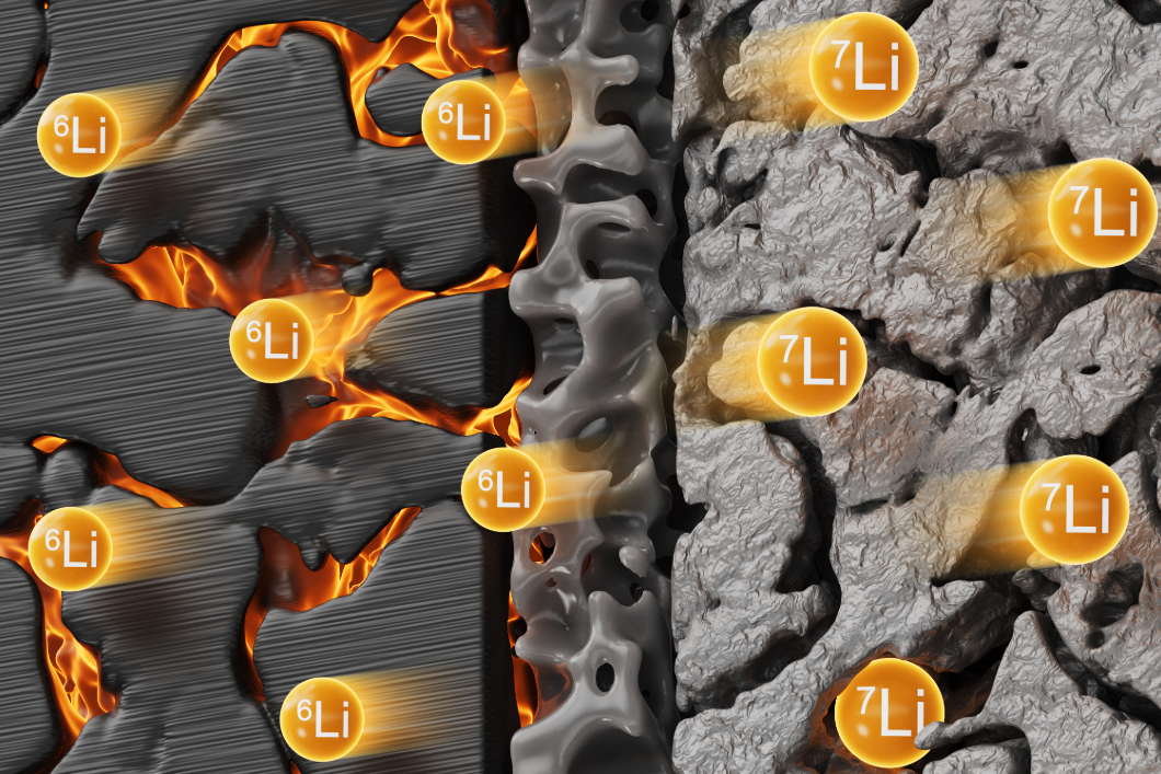 Die Verteilung der Lithium-Isotope 6 und 7 in einer Zelle hinterl&auml;sst einen charakteristischen Fingerabdruck und kann als Diagnosewerkzeug f&uuml;r Alterungsprozesse dienen. 