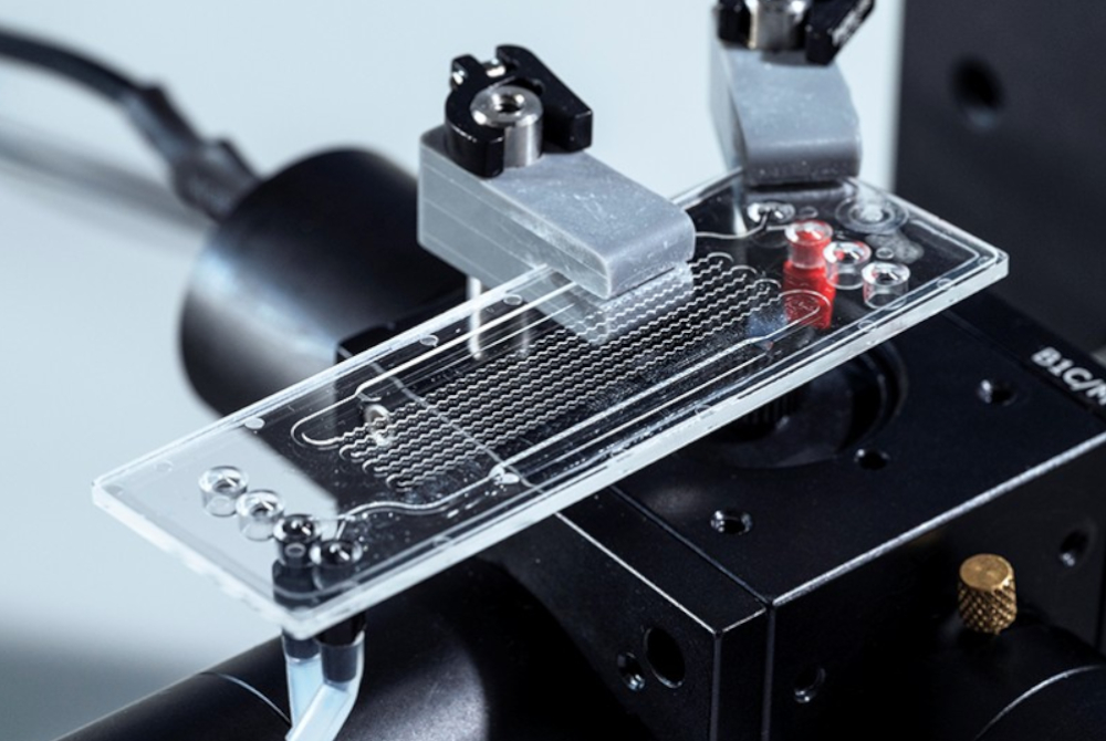 Der mikrofluidische Chip des Sensorsystems in Nahaufnahme.